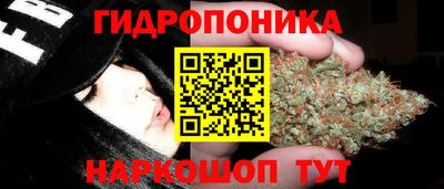 PSILOCYBIN Кумертау