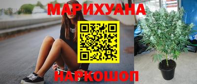 крисы Кунгур