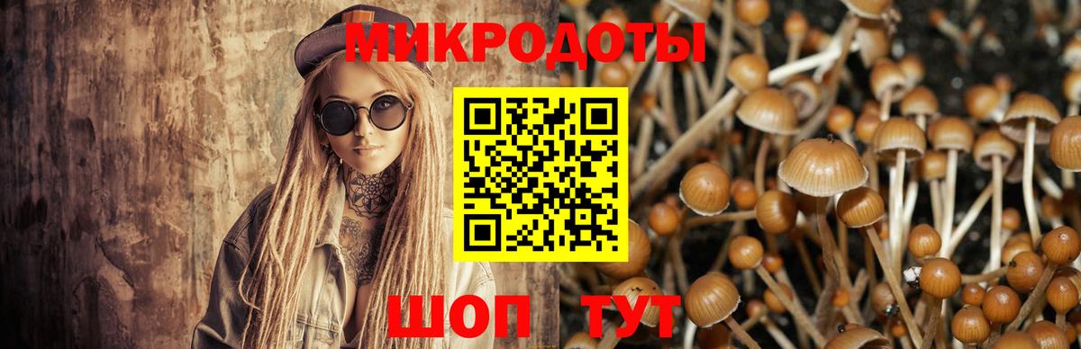 Галлюциногенные грибы GOLDEN TEACHER Кандалакша