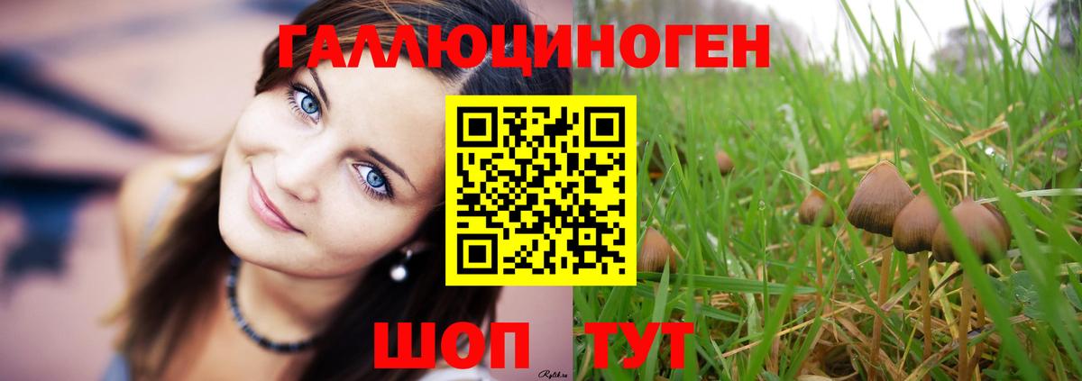 Галлюциногенные грибы ЛСД  Вход с VPN  Кандалакша 
